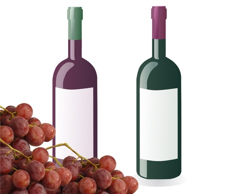 bottles of white and red wine and grapes isolated on white backgroundの写真素材
