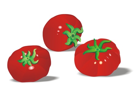 tomatoesの写真素材