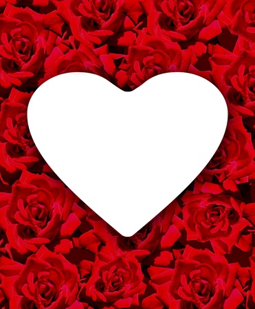 Heart of rosesの写真素材