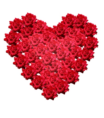 Heart rosesの写真素材