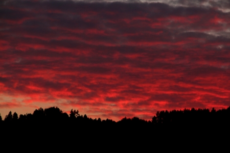 Red clouds at sunsetの写真素材