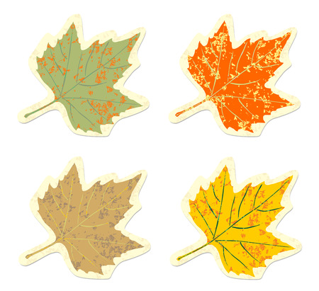 Set of vintage colorful maple leaves grunge のイラスト素材