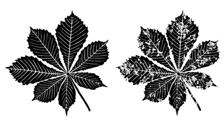 Black grunge leaves of chestnut tree vector eps 10のイラスト素材