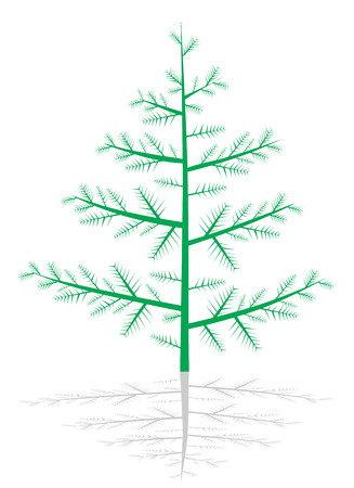 Christmas tree のイラスト素材
