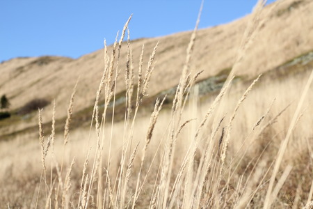 Mountains autumn landscapeの写真素材