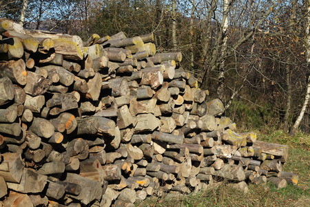woodの写真素材