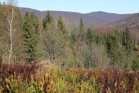 Mountain landscapeの写真素材