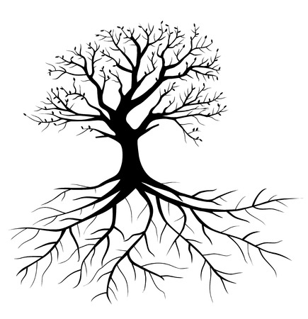 Whole black tree with roots isolated white backgroundのイラスト素材