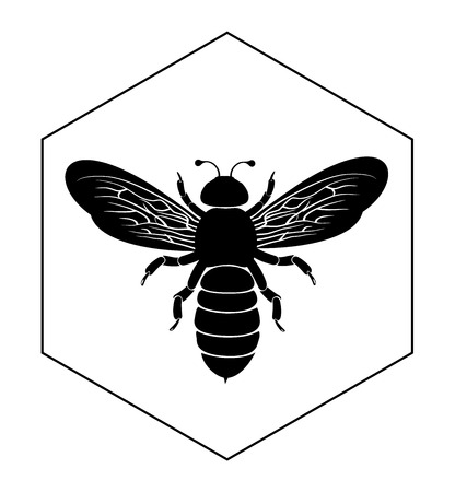 Bee on honey cellのイラスト素材