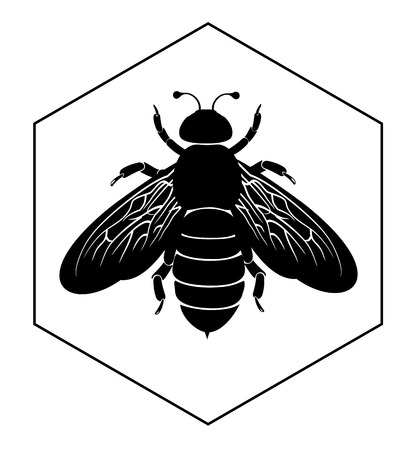 Bee on honey cellのイラスト素材