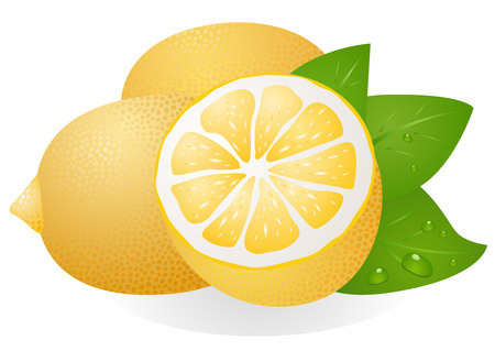 Fresh lemons with leavesのイラスト素材