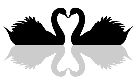 Floating swan love symbol vector eps 10.のイラスト素材