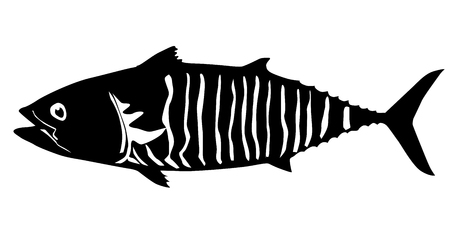 Tuna fish isolated vectorのイラスト素材