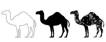 Camel set black white grunge vector eps 10のイラスト素材