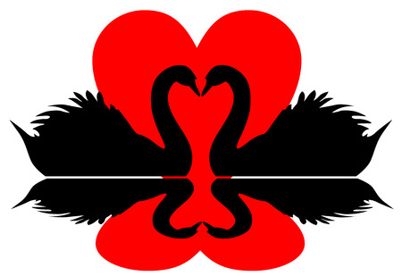 Swans and heart. Valentine symbol vectorのイラスト素材