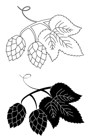 Hop plant, sketch style set icon vector.のイラスト素材