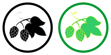 Green hop plant, sketch style set icon vector.のイラスト素材