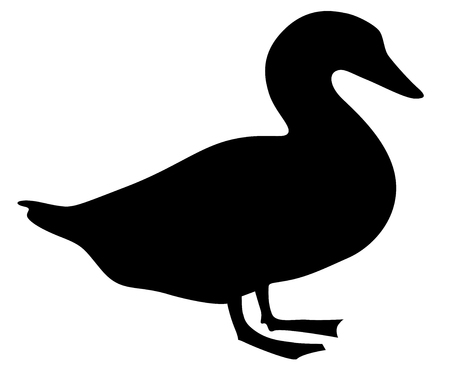 Duck icon isolated on white background vector eps 10のイラスト素材