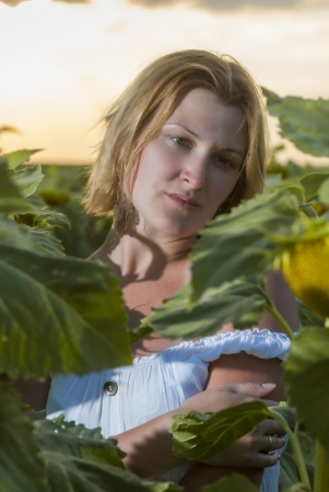 Woman portrait in sun flower field at the sunsetの写真素材