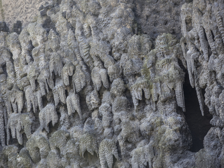 Dripstone Wall in Wallenstein Palace (Valdstejnska Zahrada).Wallenstein Palace is a 17th century baroque style palace, currently the home of the Czech Senateのeditorial素材