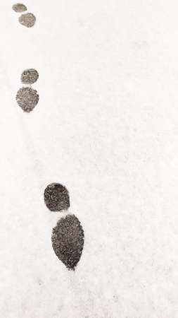 various footprints in the snow. High quality photo