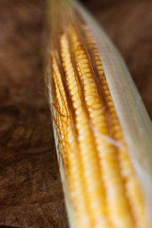 Artisanal preparation of corn cachapas, a typical Venezuelan dish.