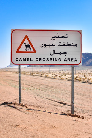 Camel crossing traffic sign in the desert, Saudi Arabia.の写真素材