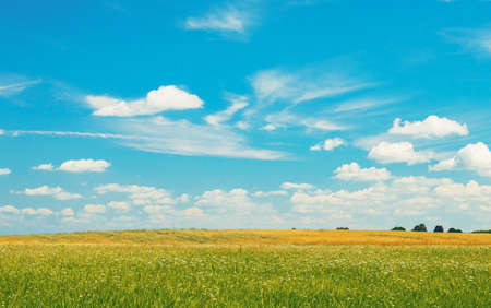 Sunny meadow landscape, distance plan, a smooth transition of colorの写真素材