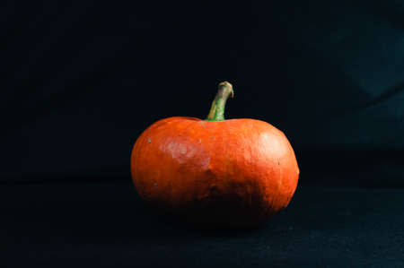 Fresh orange pumpkin on a black backgroundの写真素材
