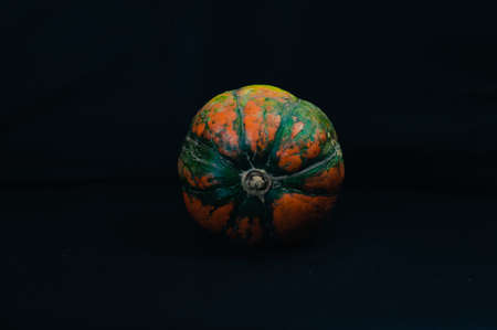 Colorful bottom of the pumpkin on a black backgroundの写真素材