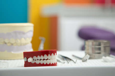 didactic denture, oral hygiene conceptの写真素材
