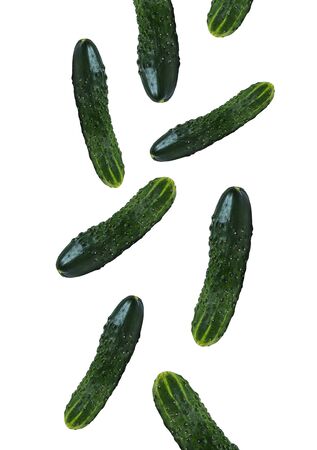 Closeup of fresh ripe green cucumber falling down on white isolate backgroundの写真素材
