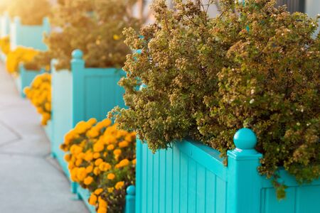 The beautiful design of the Park, the streets with flowers and shrubs. Closeup background for copy spaceの写真素材