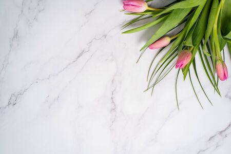 Closeup of beautiful red tulips with green herbs on a marble background on a table with copy spaceの写真素材