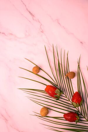 Frame of tropical palm leafの写真素材
