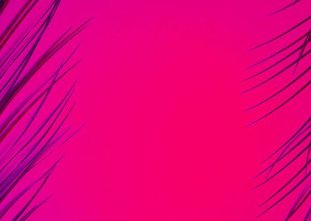 Frame of tropical palm leaves