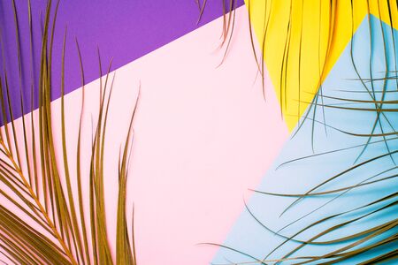 Summer, vacation, travel concept. Tropical bright multicolored background with exotic palm leaves. Flat lay, top view, free space, frame of leaves.の写真素材