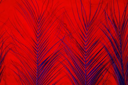 Painted violet date palm leaves on bright red marble background. Summer, tropical, exotic concept. Top view, flat lay.の写真素材