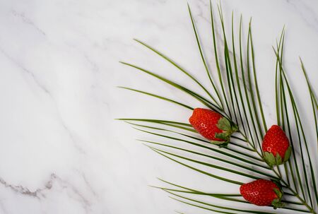Three ripe red fresh strawberries and tropical leaf, robelini branch isolated on white marble background. Free space for your text. Summer concept. Flat lay, top view.の写真素材