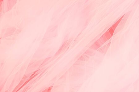 Beautiful coral white background of tulle veilの写真素材