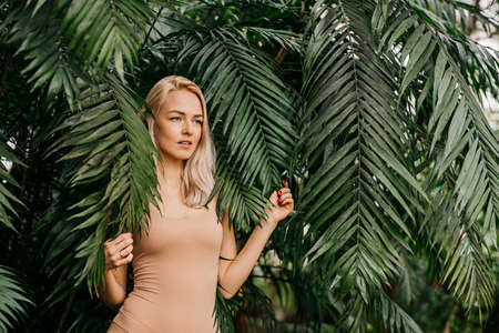 Woman in swimsuit on tropical plants backgroundの写真素材