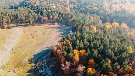 Beautiful wildlife in the autumn. Yellow and green trees in the forest, clear mountain river in the...
