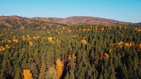 Beautiful autumn nature. Trees in the forest in the mountains and the blue sky. Photos from the droneの写真素材