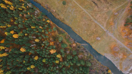 Top view of autumn nature. River, forest, and fieldの写真素材