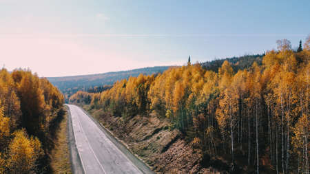 Road, autumn forest, drone shooting in natureの写真素材