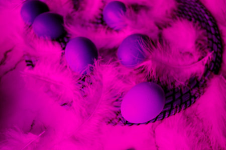 Abstract purple pink. Easter eggs closeup. Concept of farm products, healthy food, Easter holiday.