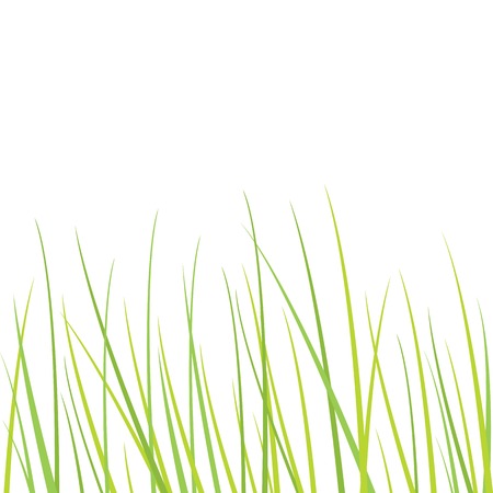 Nature backgroundのイラスト素材