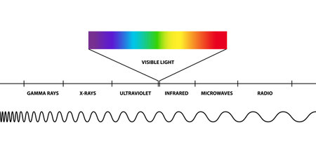 Visible light region of the electromagnetic spectrum, visible to human eye, electromagnetic radiation, low, high, radio waves, microwaves, gamma rays, x rays, ultraviolet, infrareのイラスト素材
