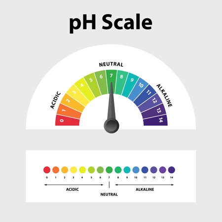 Ph level Scale chart indicator diagram value. Alkaline, neutral, acidic solution.のイラスト素材