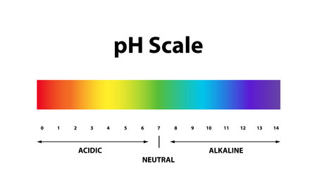 Quantitative Ph level Scale chart indicator diagram value. Alkaline, neutral, acidic solution.のイラスト素材